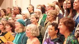 I Stand Tall - Zu Choir