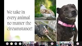 Adoptability Discussion and Volunteer Meeting