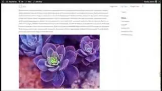 A Complete Overviw Of The Monarch Plugin