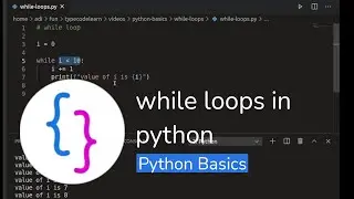 Python Basics - while loops