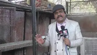 Sanjay Gandhi Animal Care Centre | Lead Delhi | leaddelhi