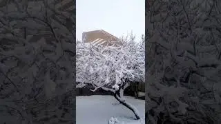 Quetta(Pakistan) in winter