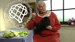 Huisdieren - Van Kooten en De Bie