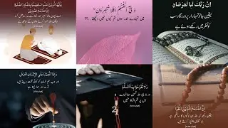 Quranic Quotes Collection In Urdu |#innal1m