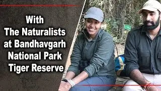 With The Naturalists at Bandhavgarh National Park Tiger Reserve