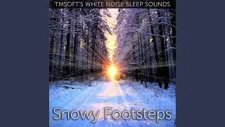 Snowy Footsteps 3D Sound