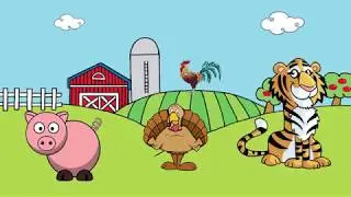 Which Animal Doesn't Belong Compilation