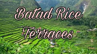 BATAD RICE TERRACES