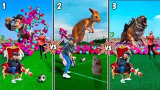 Monkey 🐒 vs Kangaroo 🦘 vs Tiger 🐅 video