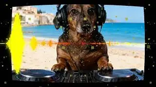 aero chord feat ddark musica sem copyright (copyright free music)