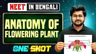Anatomy of Flowering Plant One Shot in Bangla 🌿 NEET Biology in Bengali