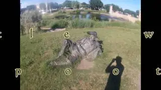 Talking Statues