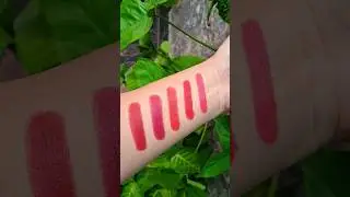 Renee Fab 5 in 1 Lipstick #musthaves #makeup #beauty #ytshorts #short #yt