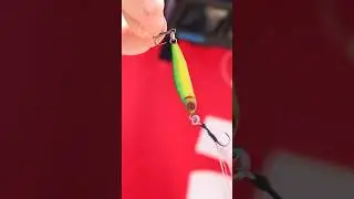 Los MICRO JIGS marcar&aacute;n la diferencia con los peque&ntilde;os DEPREDADORES. #rockfishing #ultralight #pesca