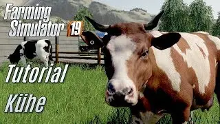 LS19: K&uuml;he Tutorial - f&uuml;r Einsteiger