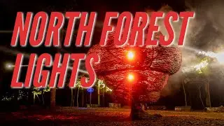 North Forest Lights - Crystal Bridges Museum of American Art
