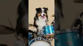💥A dog playing drums 🐕 #drummer #music #drumming #solo #ai
