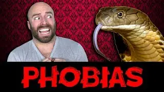10 Most Common Phobias Explained