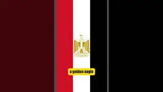 Why Do Arabs Have The Same Flag ? || Dr Roy Casagranda