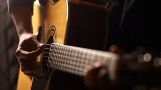 Alternosfera Bonjour Madame Acoustic Cover