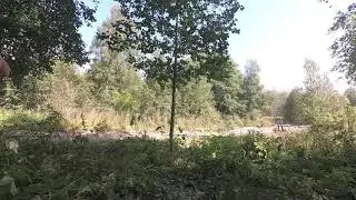 Ралли Выборг 2019 су2 сход