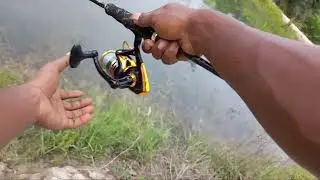 mancing/ casting gabus di raja garuda mas #RGM #rajagarudamas #antoanglersentul