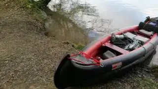 Flusswandern auf der Aare