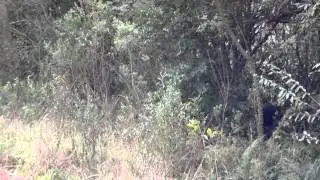 14082011008.mp4