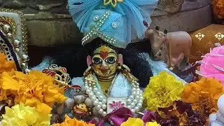 Shri Krishna Vani | Man Ko Shanti Dene Wale Vichar 🌸