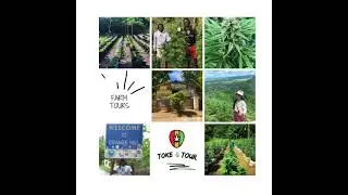 Farm Tours