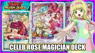 Celeb Rose Deck Profile!!! - Yu-Gi-Oh Rush Duel - EDOPRO