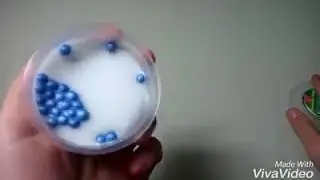 giới thiệu c&aacute;c loại slime cs sẵn ở shop Rilakkuma part 1