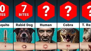 How Many Times to be Bitten to Die?