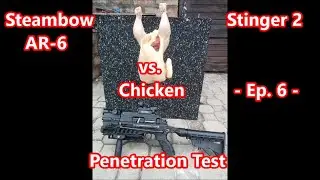 Crossbow Steambow AR-6 Stinger 2 vs. Chicken, Ep.6, Tuning Limb PRO 90 lbs. - penetration test.