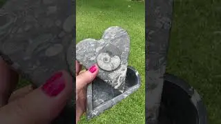 Moroccan Fossil Boxes — Hand-Carved Stone Keepsake Boxes from Ancient Seabeds