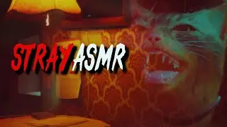 Stray ASMR ep. 9 - You Can't Spell Stealth Without 