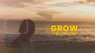 TARO SHATREE - GROW [Official MV]