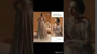Shree Fab S 166 Butterfly Net Salwar Suit