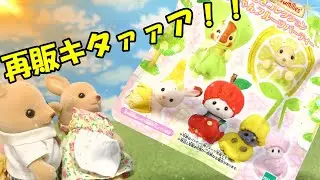 【ｼﾙﾊﾞﾆｱﾌｧﾐﾘｰ】待ってました！！再販した赤ちゃんフルーツパーティコンプ目指して開封した結果