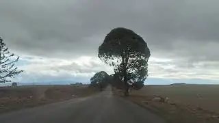 Sidi Ali Benyoub à Mezaourou BALADE