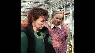 Västernäs och Höörs tåligaste penséer
