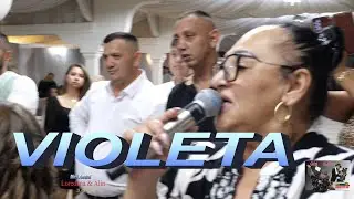 Violeta Lumina Vestului -    Colaj -  Mama lor de hoti -  Birtul  -  nunta in Dinastia Gheorghe