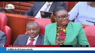 Gloria Orwoba: A Journey of Advocacy, Controversy, and Resilience in Kenyan Politics