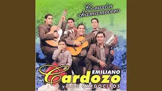 El Galpón / La Dama Misteriosa / Don Gualberto