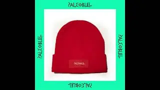Gorros de invierno Paleobull