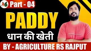 Paddy Cultivation | Rice Cultivation | धान की खेती | चावल की खेती | Agronomy | Part-4