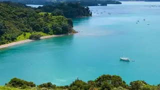 A Majestic Paradise in Auckland, New Zealand| Mahurangi Regional Park