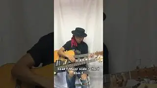 Lead F Major scale + chord Bbm F  * improvise by solo artist #soloartist  #solo #guitar