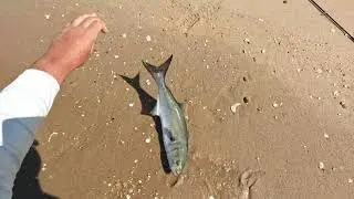 Sandy Hook Fly Fishing - Bluefish & Fluke