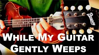 While My Guitar Gently Weeps | acoustic cover | solo mandola